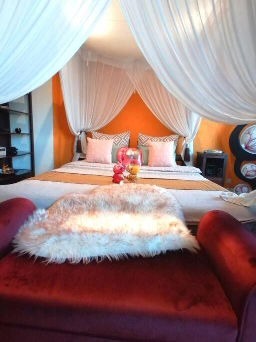 Suite Island Colmar Dış mekan fotoğraf